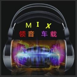 领音车载《旅途车载伴侣》DJ阿顺Mix